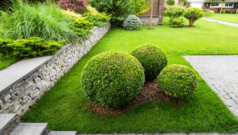 Beautifully maintained garden with freshly mowed lawn and neat hedges
