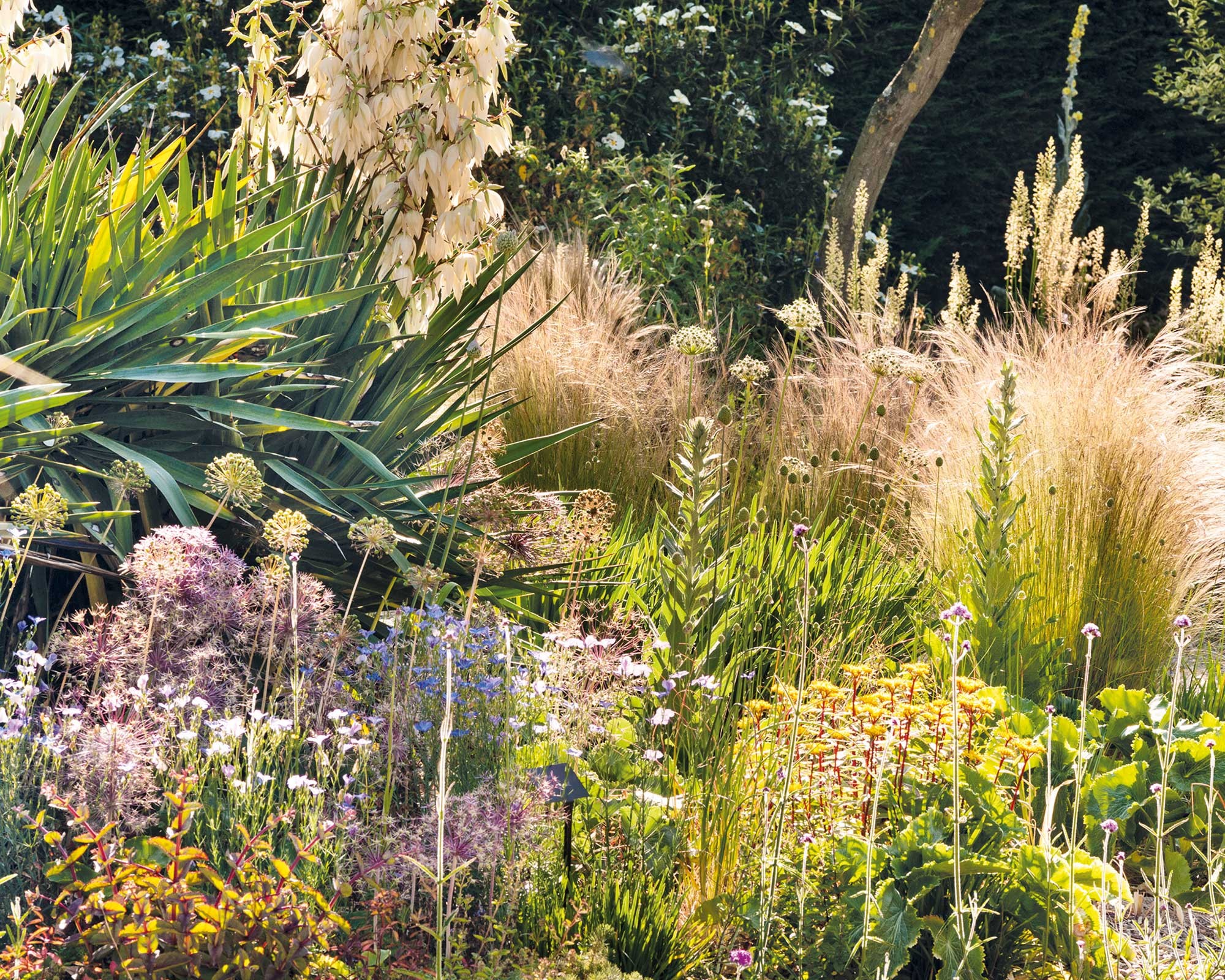 Garden Care service by Pro Logic