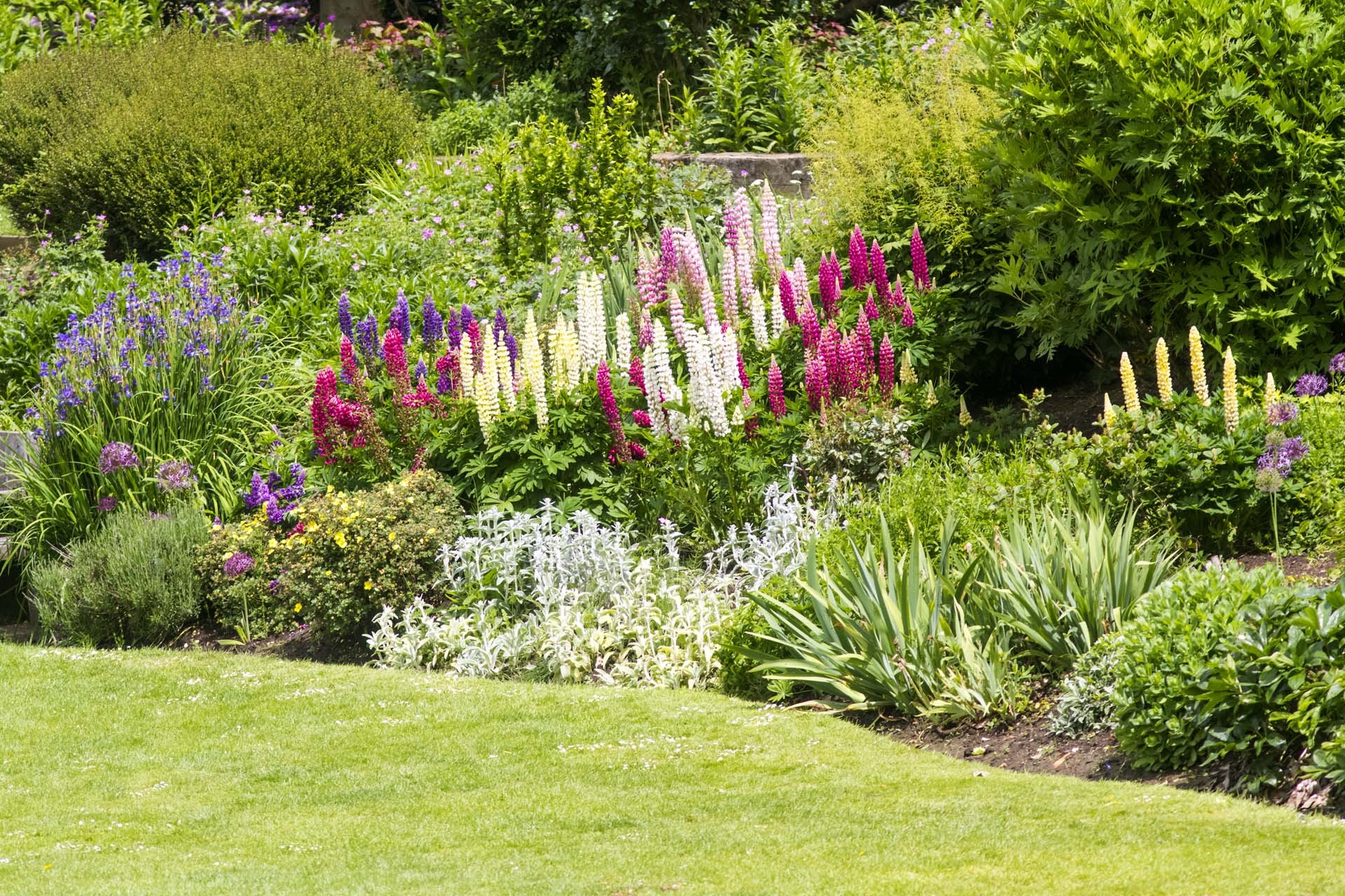 Garden Care thumbnail 2