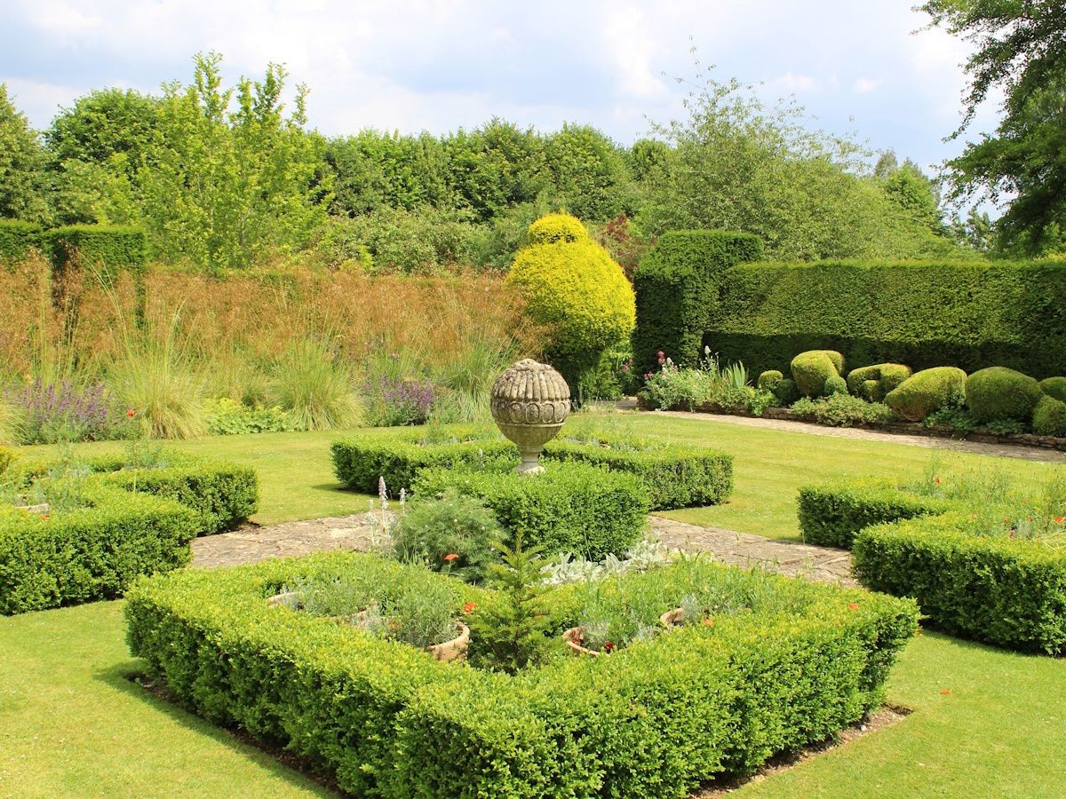 Hedge Trimming thumbnail 2