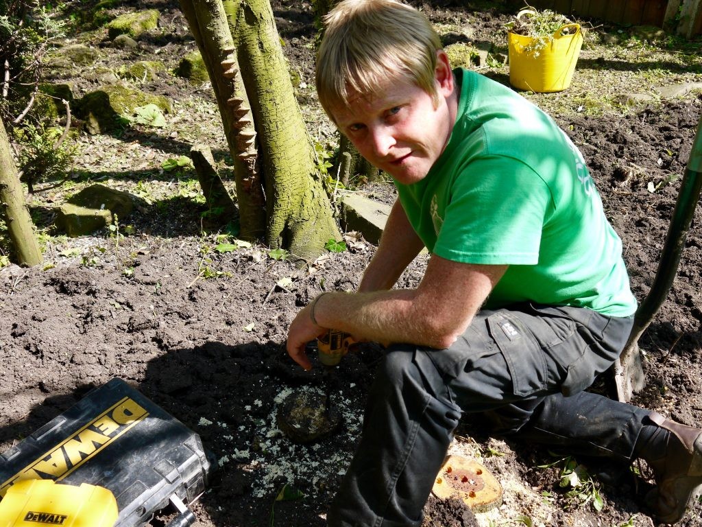 Stump Removal thumbnail 3